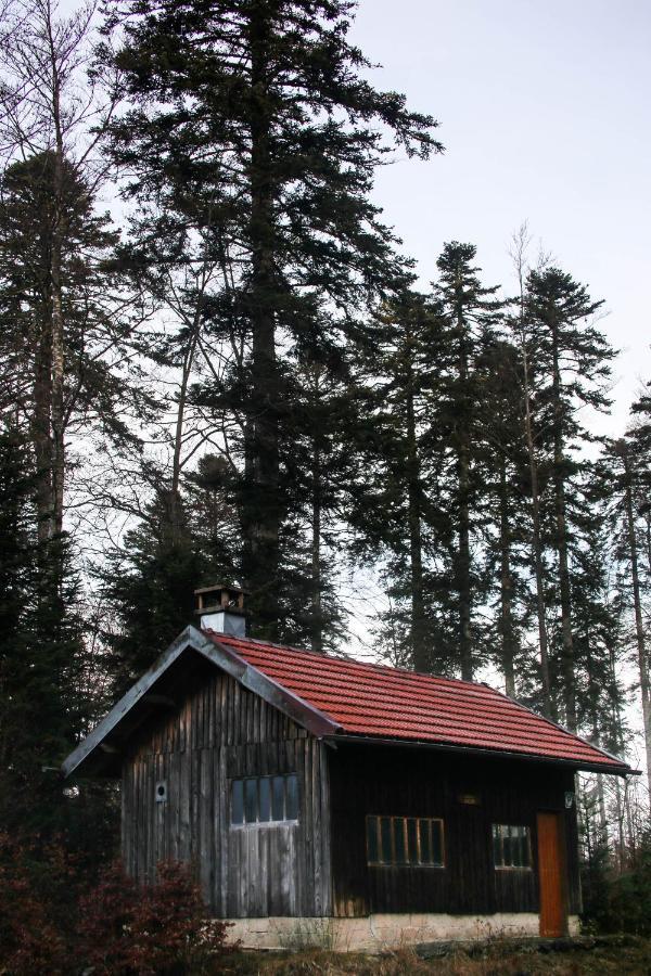 Le Refuge Des Marmottes Villa Saint-Laurent-du-Jura Exterior photo